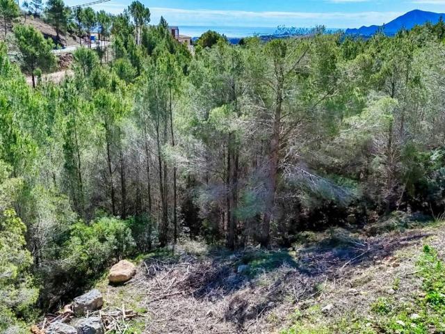 Terreno en venta en Callosa D'en Sarrià, Valencia