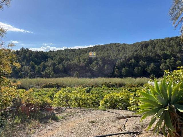 Terreno en venta en la Marina Baixa, Valencia