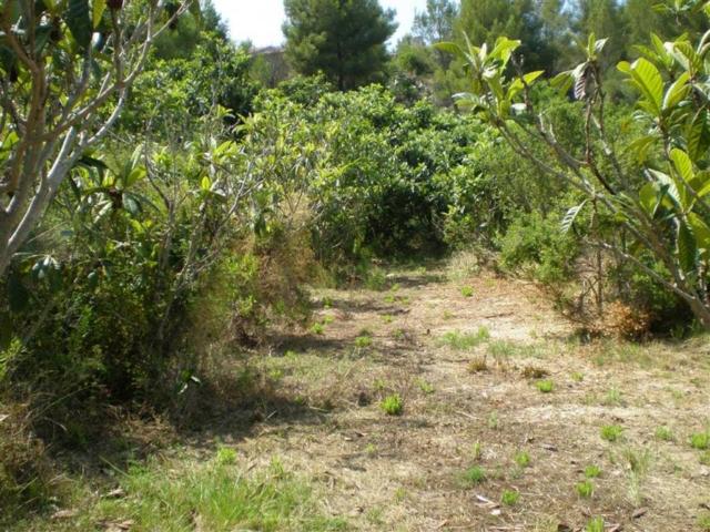 Terreno en venta en la Marina Baixa, Valencia