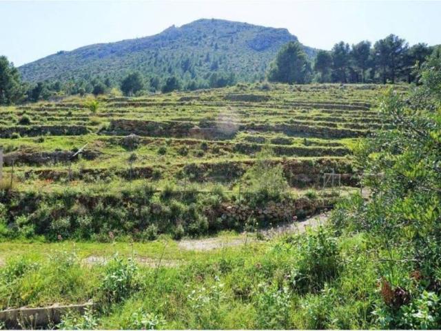 Terreno en venta en Callosa D'en Sarrià, Valencia