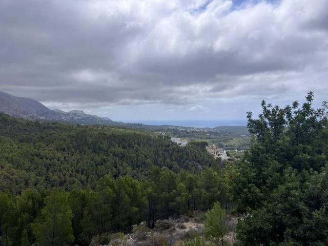 Terreno en venta en Callosa D'en Sarrià, Valencia