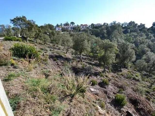 Terreno en venta en Calonge i Sant Antoni, Baix Empordà