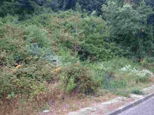 Terreno en venta en Calonge i Sant Antoni, Baix Empordà
