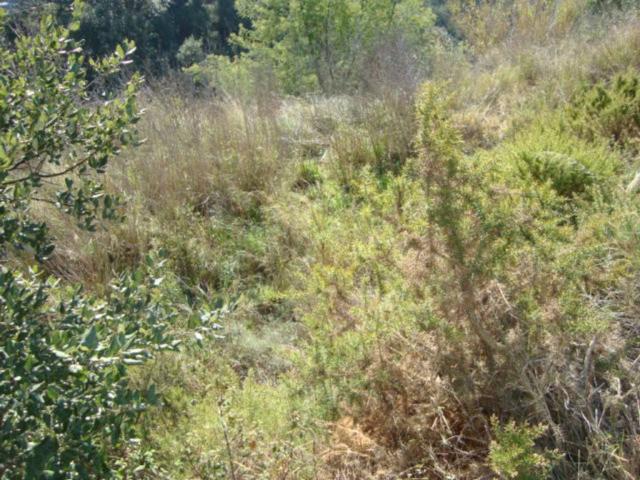 Terreno en venta en Calonge i Sant Antoni, Baix Empordà