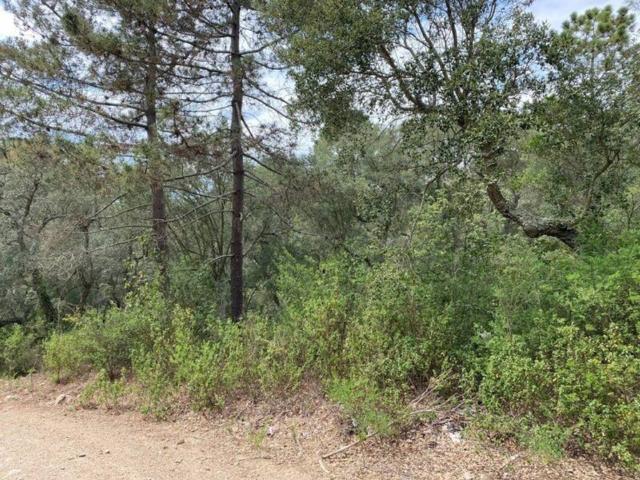 Terreno en venta en Baix Empordà, Catalunya