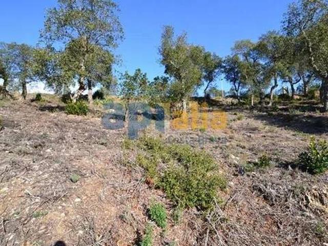 Terreno en venta en Calonge i Sant Antoni, Baix Empordà