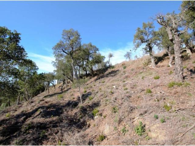 Terreno en venta en Calonge i Sant Antoni, Baix Empordà