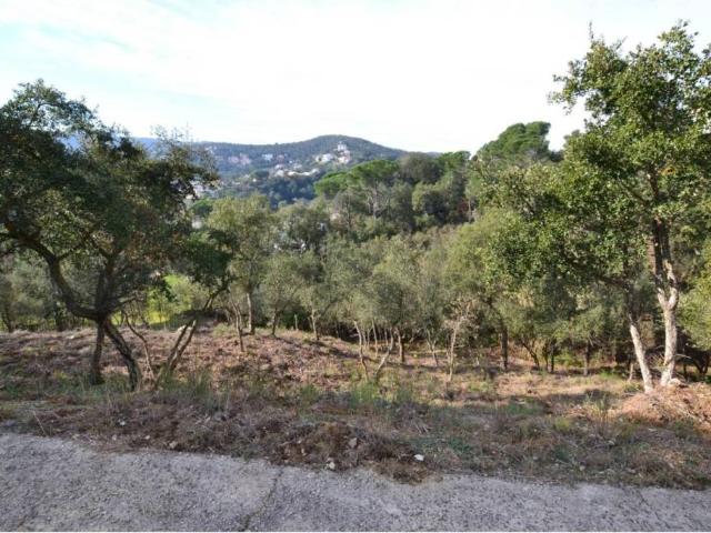 Terreno en venta en Calonge i Sant Antoni, Baix Empordà