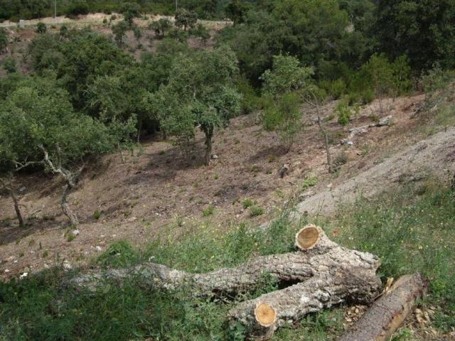 Terreno en venta en Calonge i Sant Antoni, Baix Empordà
