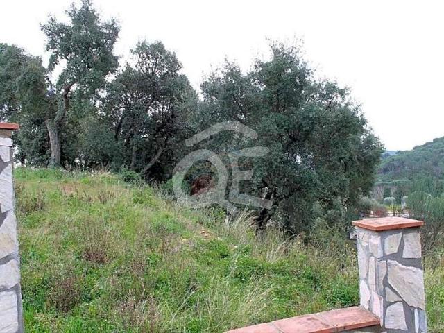 Terreno en venta en Calonge i Sant Antoni, Baix Empordà