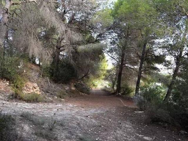 Terreno en venta en San Bernardo, la Marina Alta
