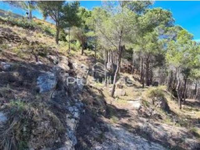 Local Comercial en venta en San Bernardo, la Marina Alta