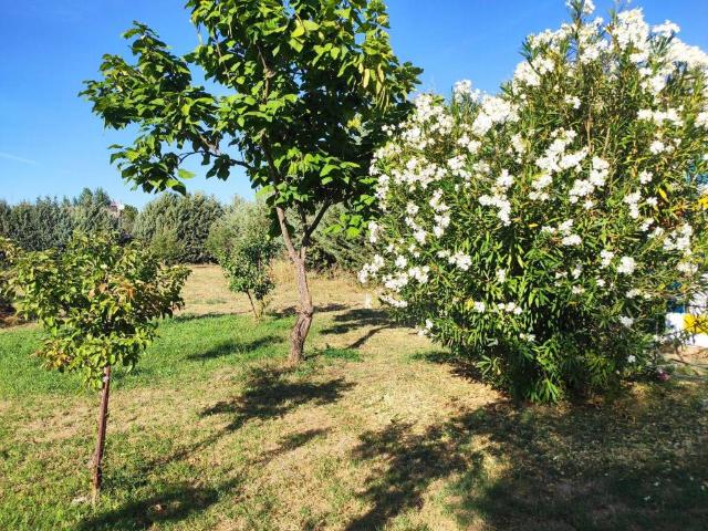 Terreno en venta en Calvarrasa De Abajo, Castilla y León