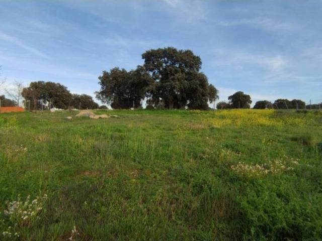 Terreno en venta en Calvarrasa De Arriba, Castilla y León