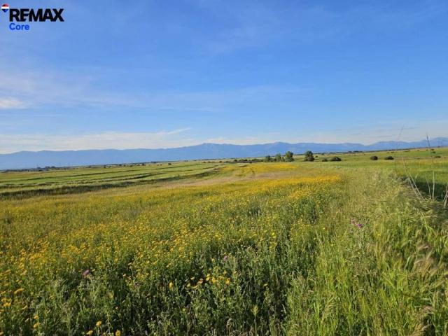 Terreno en venta en Calzada De Oropesa, Castilla-La Mancha