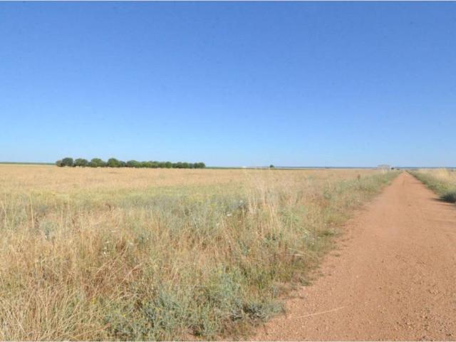 Terreno en venta en Calzada De Valdunciel, Castilla y León