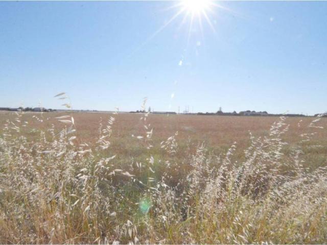 Terreno en venta en Calzada De Valdunciel, Castilla y León