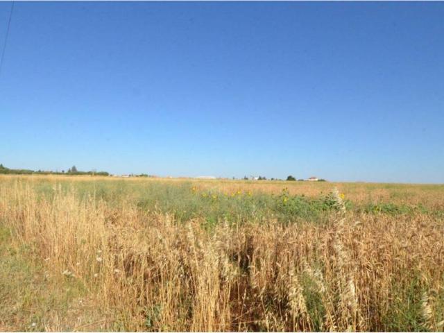 Terreno en venta en Calzada De Valdunciel, Castilla y León