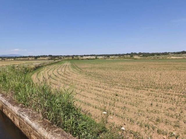 Terreno en venta en Calzadilla, Extremadura