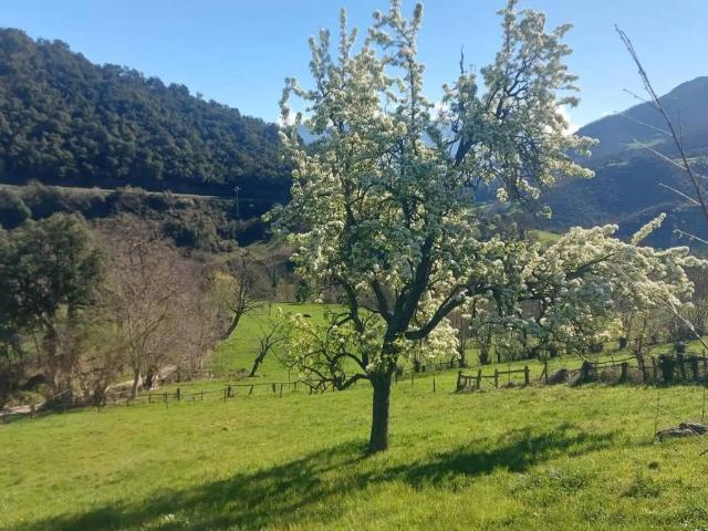 Terreno en venta en Camaleño, Cantabria
