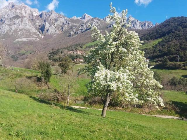 Terreno en venta en Camaleño, Cantabria