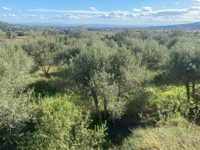 Terreno en venta en Noguera, Catalunya