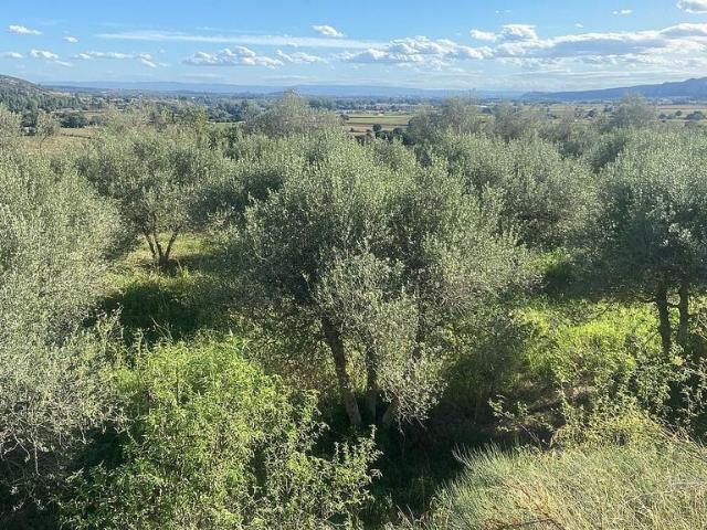 Terreno en venta en Camarasa