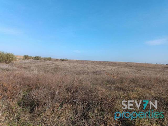 Terreno en venta en Camarena, Castilla-La Mancha