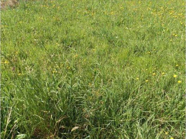 Terreno en venta en Camargo, Cantabria