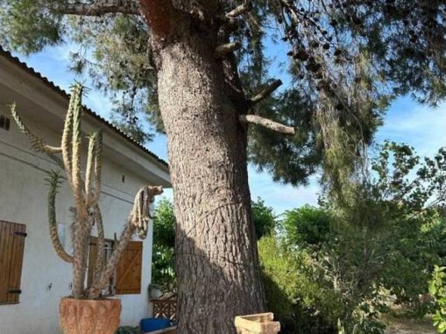 Terreno en venta en Baix Ebre, Catalunya