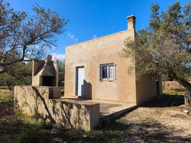 Terreno en venta en Baix Ebre, Catalunya