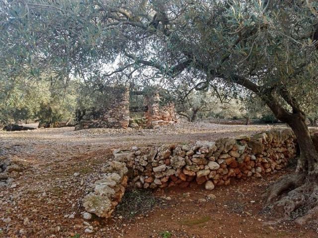 Terreno en venta en Camarles