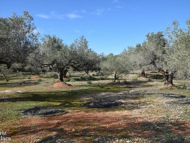 Terreno en venta en Baix Ebre, Catalunya