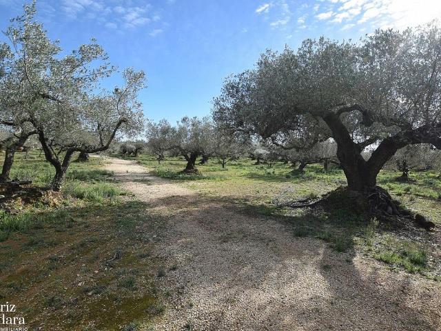Terreno en venta en Baix Ebre, Catalunya