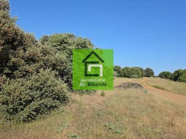 Terreno en venta en Camarzana De Tera, Castilla y León