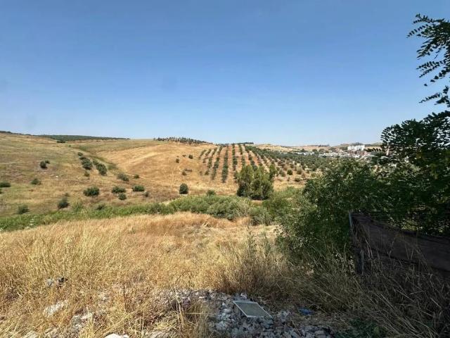 Terreno en venta en Camas, Andalucía