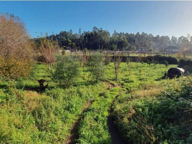 Terreno en venta en O Salnés, Galicia