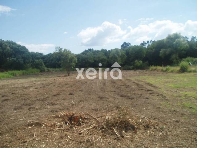 Terreno en venta en Cambados