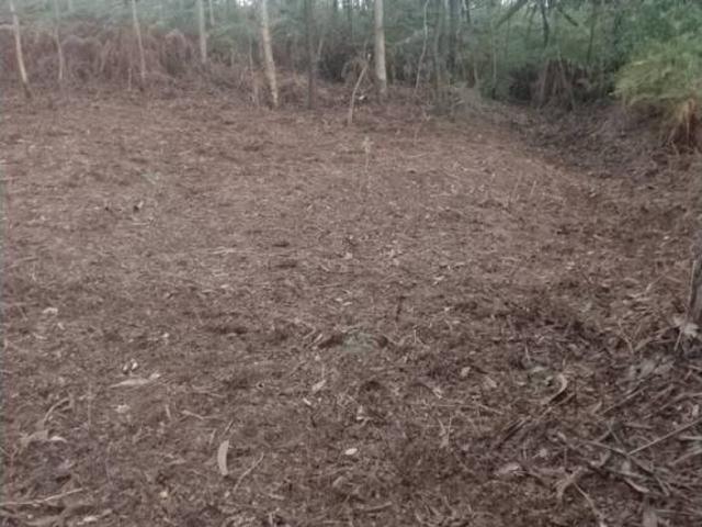 Terreno en venta en Cambados, Pontevedra