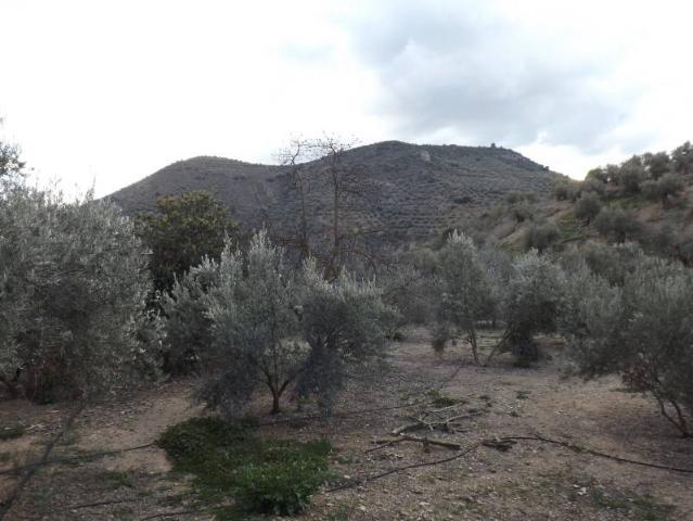 Terreno en venta en Cambil, Andalucía