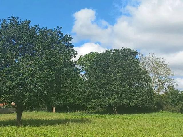 Terreno en venta en A Coruña, Galicia