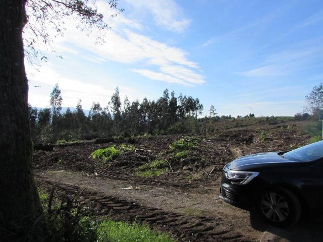 Terreno en venta en A Coruña, Galicia
