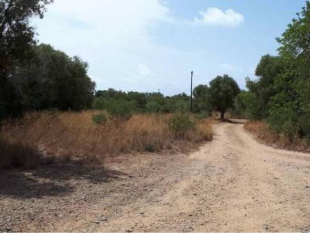 Terreno en venta en la Llosa, Baix Camp