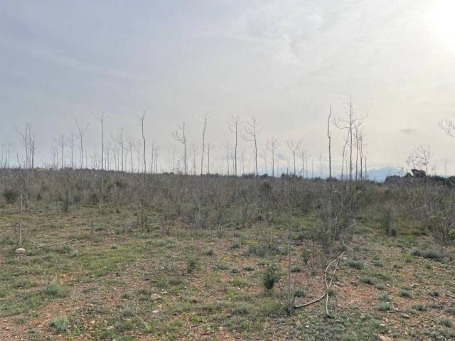 Terreno en venta en Baix Camp, Catalunya