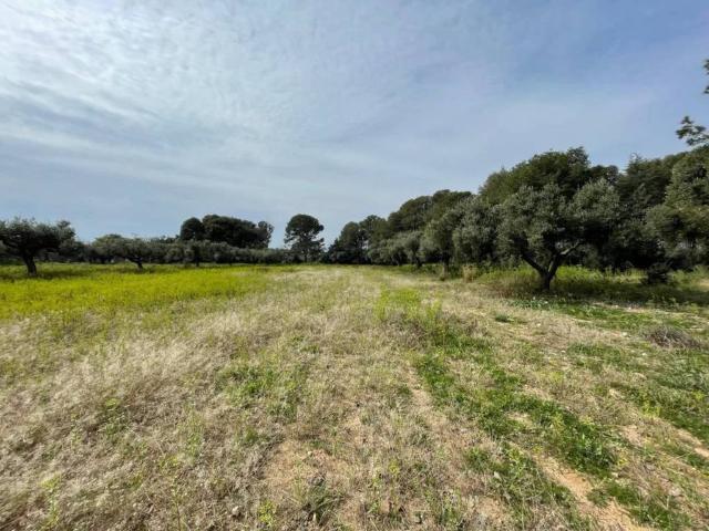 Terreno en venta en Cambrils