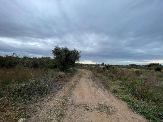 Terreno en venta en Baix Camp, Catalunya