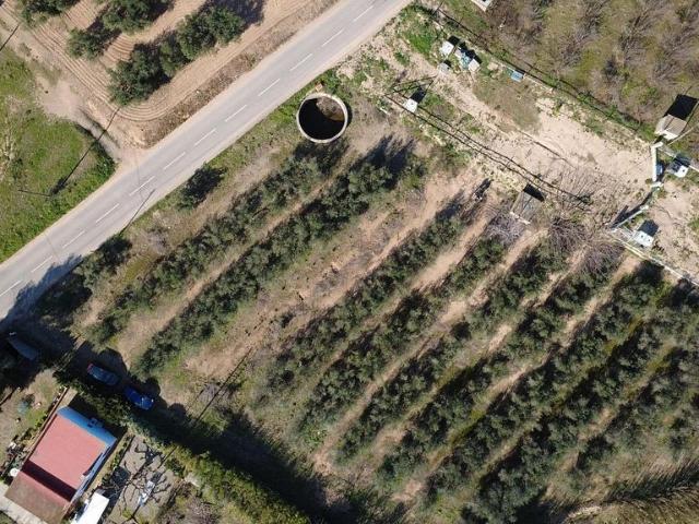 Terreno en venta en Baix Camp, Catalunya
