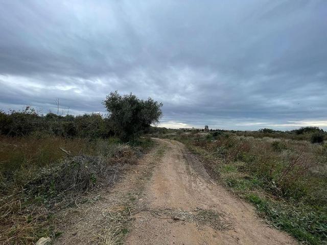 Terreno en venta en Baix Camp, Catalunya
