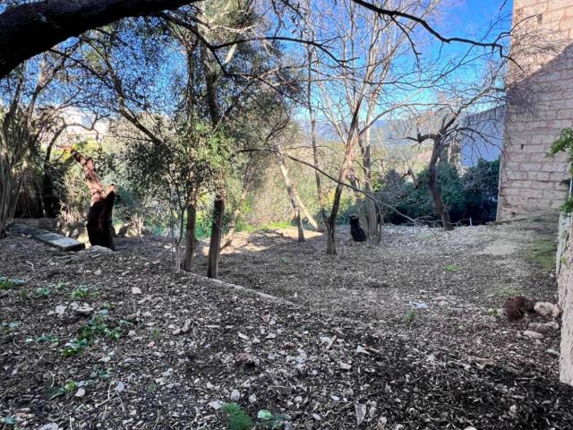Terreno en venta en Campanet