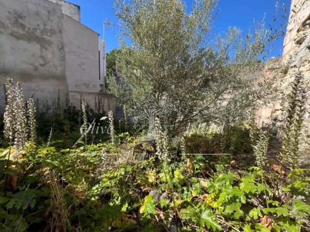 Terreno en venta en Campanet